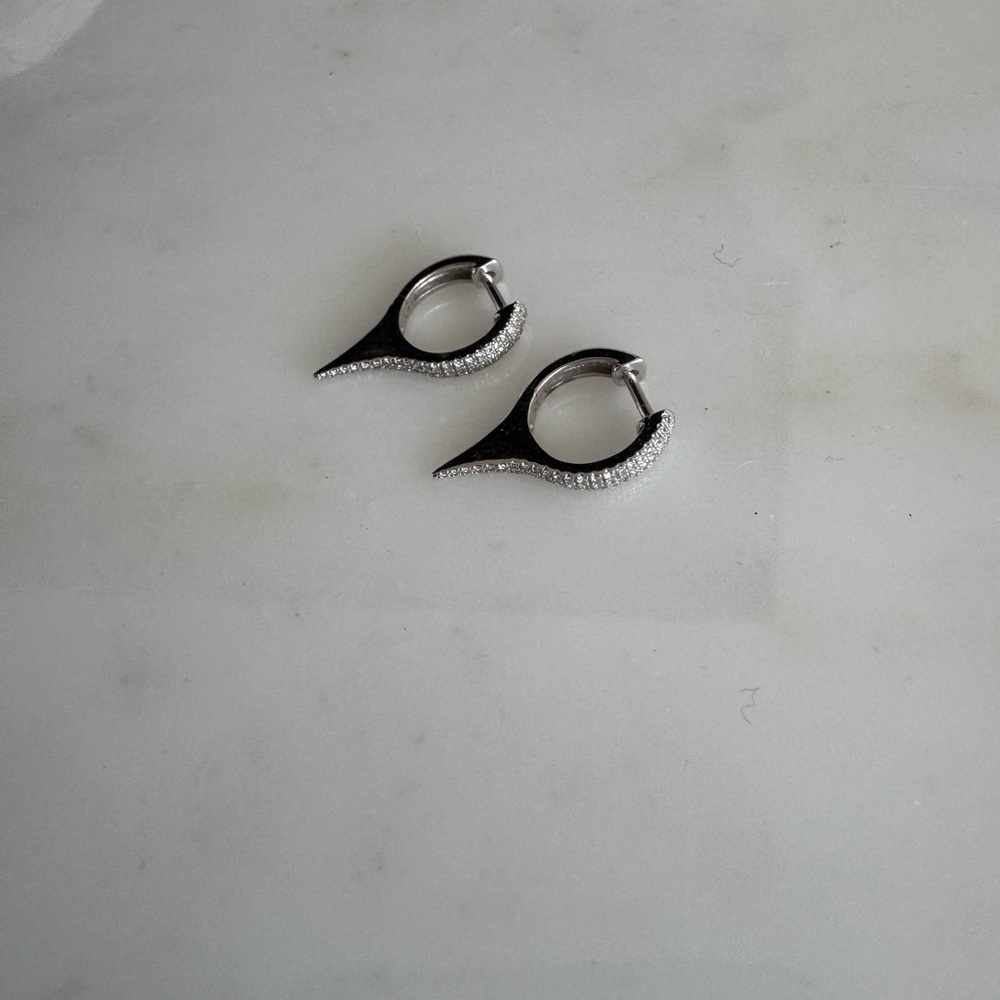 Elegant Silver Hoop Earrings